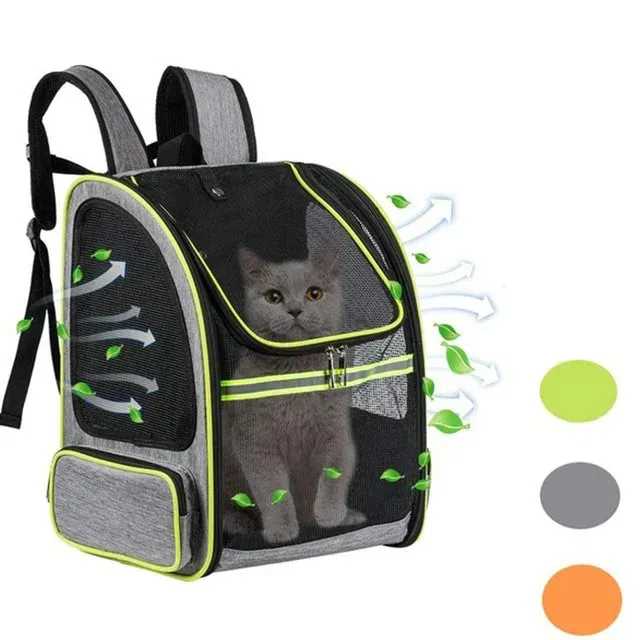 Borża tal-Ġarr tal-Fniek tal-Guinea